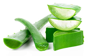 Aloe vera