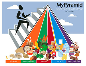 2005 USDA food pyramid - MyPyramid