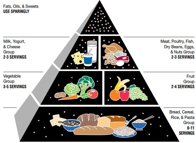 1991 USDA food pyramid