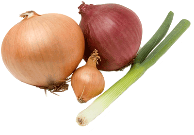 Leek & onions