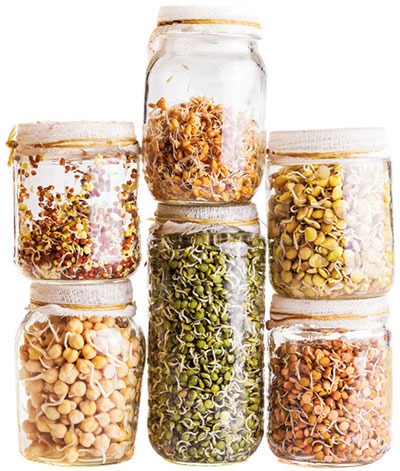 Sprouting jars
